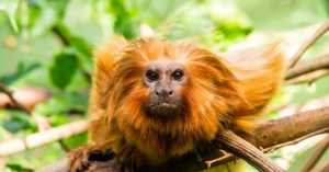 Photo Jo Christian Oterhals