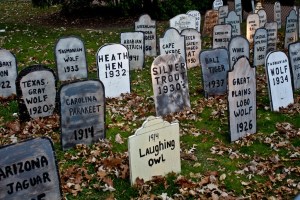 Extinction Graveyard Credit Creative Commons Bart Heird