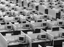 Office Cubicles  Stock Footage