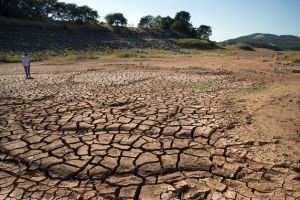 Photographer Paulo Fridman Bloomberg