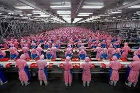 Assembly Line in China
