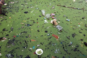Garbage and sewage chokes a river. Source Getty
