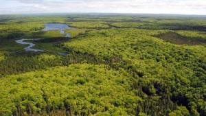 Giants Lake Wilderness, Nova Scotia. Source, The Chronicle Herald.