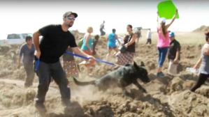 This screen shot from a Democracy NOW! video purports to show security dogs used Sept. 3, 2016, to drive back protestors who had overrun the Dakota Access Pipeline worksite north of Cannon Ball, N.D. Images Courtesy Democracy NOW!